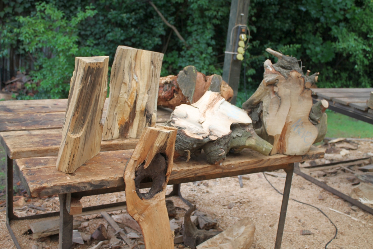 das Objekt im Vordergrund vor